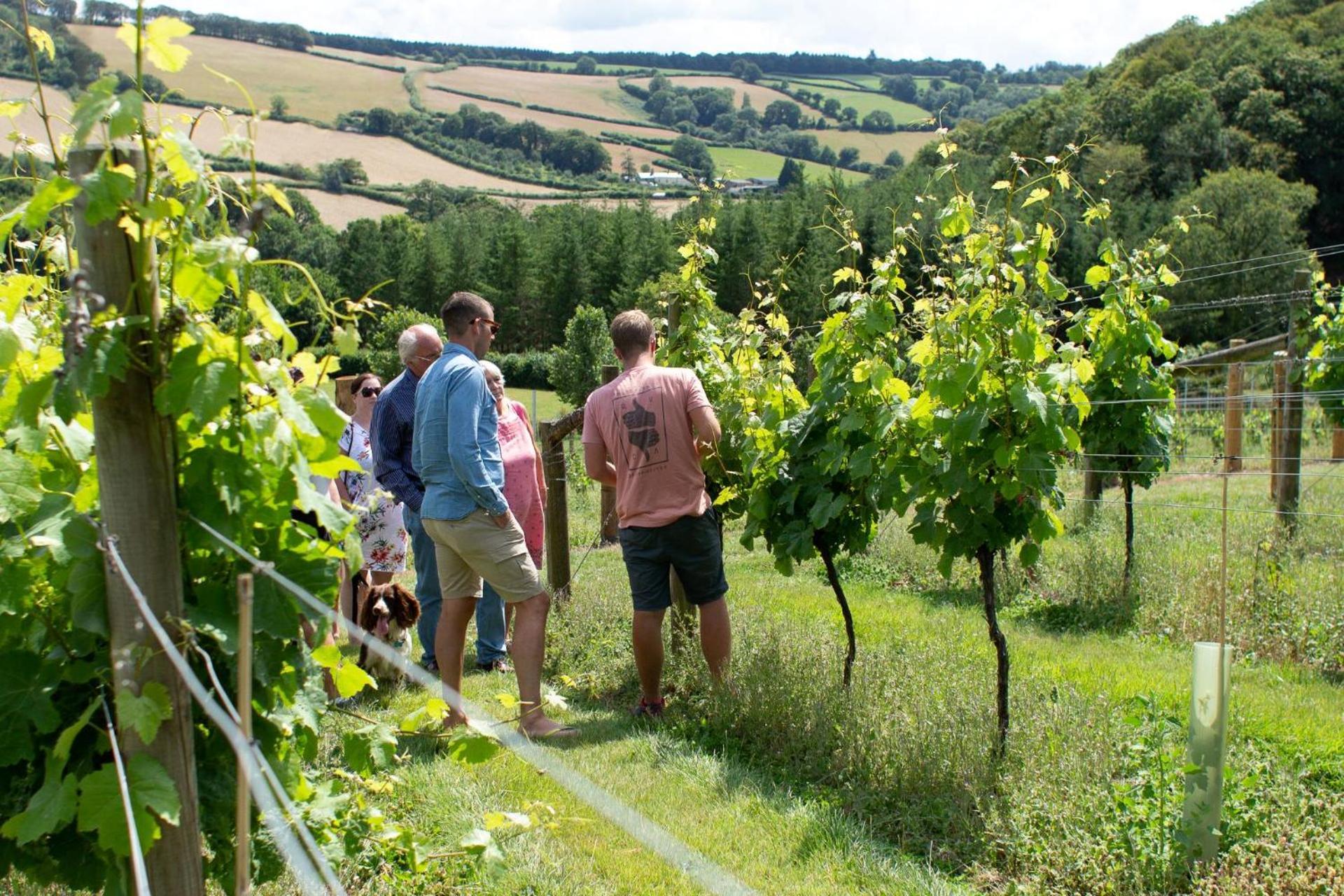 Couples Retreat In Beautiful West Devon Countryside Villa Broadwoodwidger Eksteriør bilde